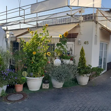 Zur Sonnenblume דירה *